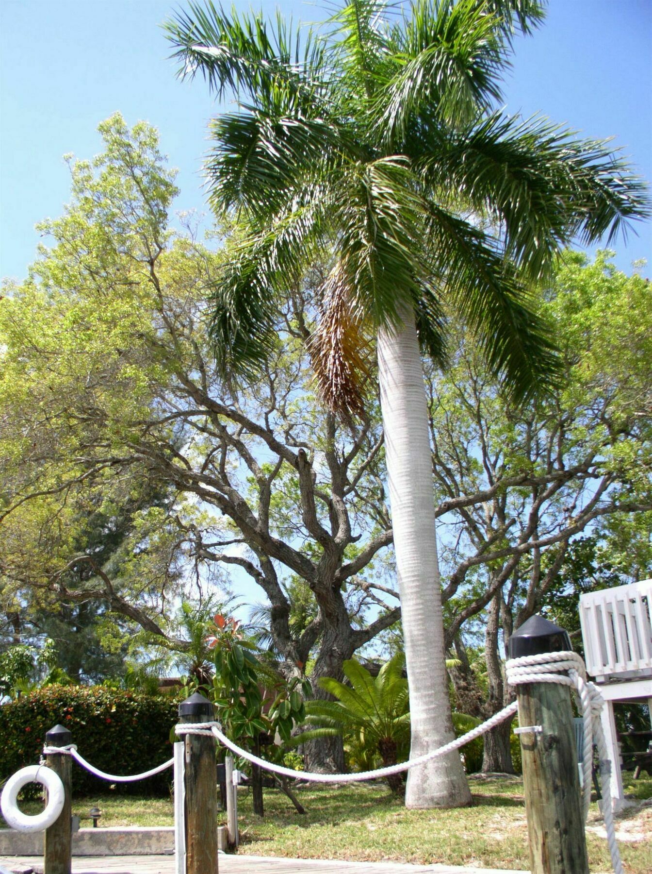 Hidden Harbor Suites Fort Myers Beach Buitenkant foto
